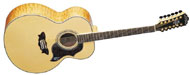 http://www.harmonytalk.com/images/String-Acoustic-guitar3%20%20.jpg
