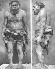 a Neandertal man