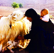 (تصویر از khabaronline.ir)